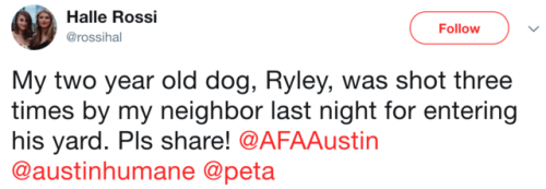 babyanimalgifs:  This has seriously annoyed me so much and I had to post it on here to try and get it around. This is seriously messed up on so many levels. If it were a human, the law would be that it was attempted murder. Please can we get this around