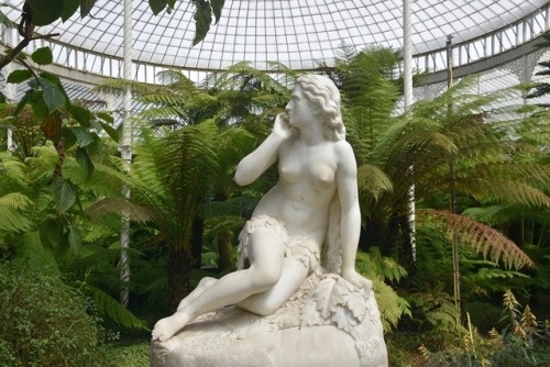 So, I Saw This Reader Eating An Apple Next To Eve, Beautiful And Frightened Eve. I Must Say, It Is A