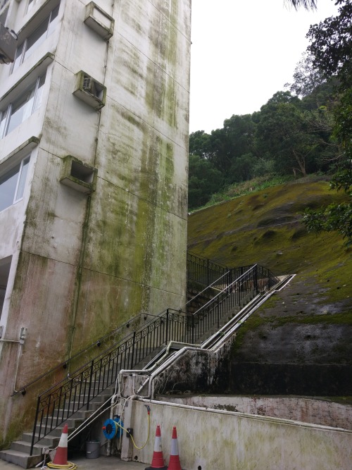 mikasavela:“Green” urbanism.