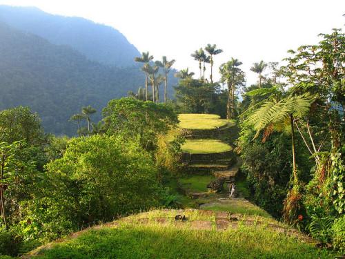 ilgoablog:by JP and Marguerite on Flickr.Ciudad Perdida ruins in the middle of the colombian jungle 