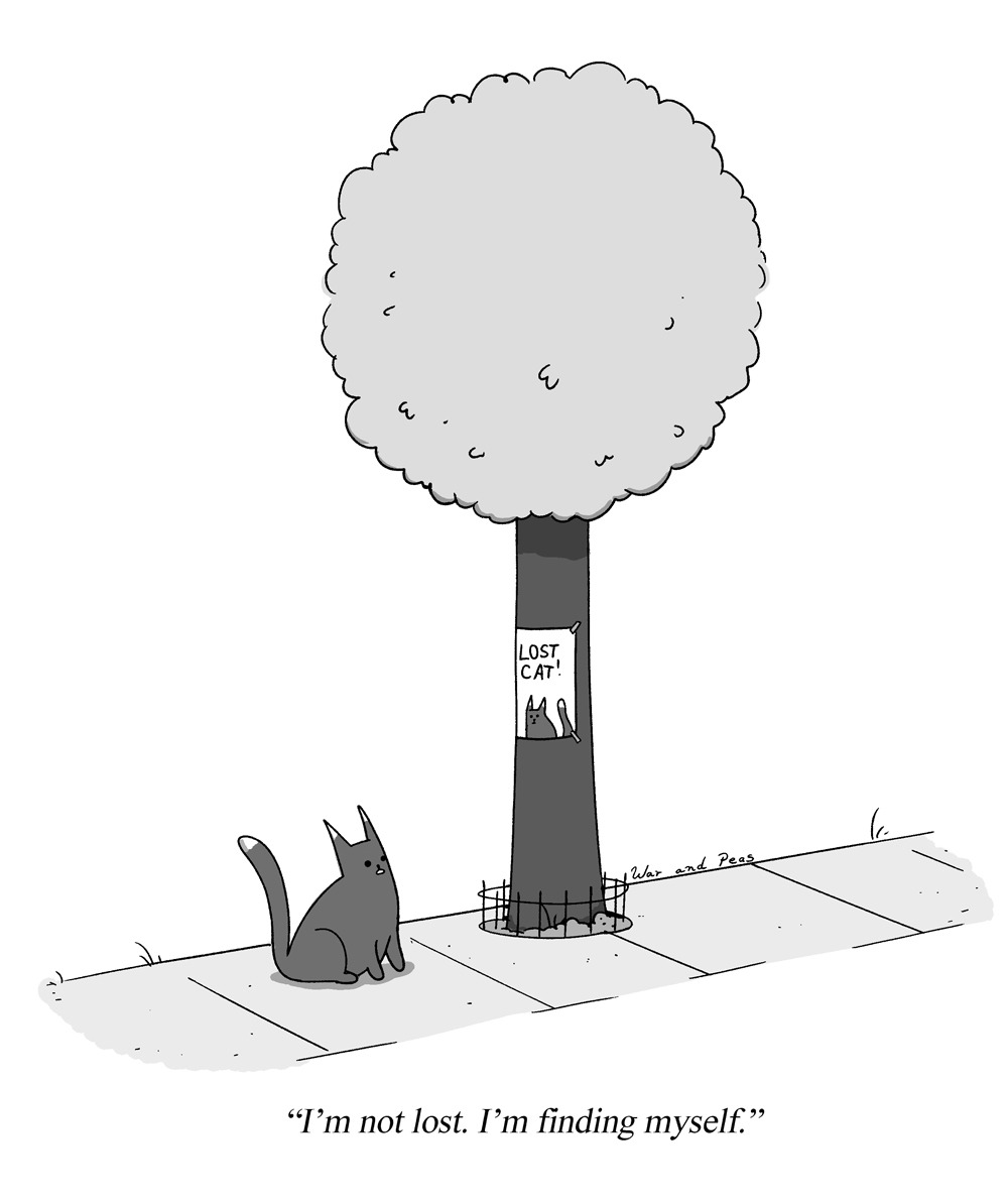 War And Peas Lost Cat war-and-peas-lost-cat