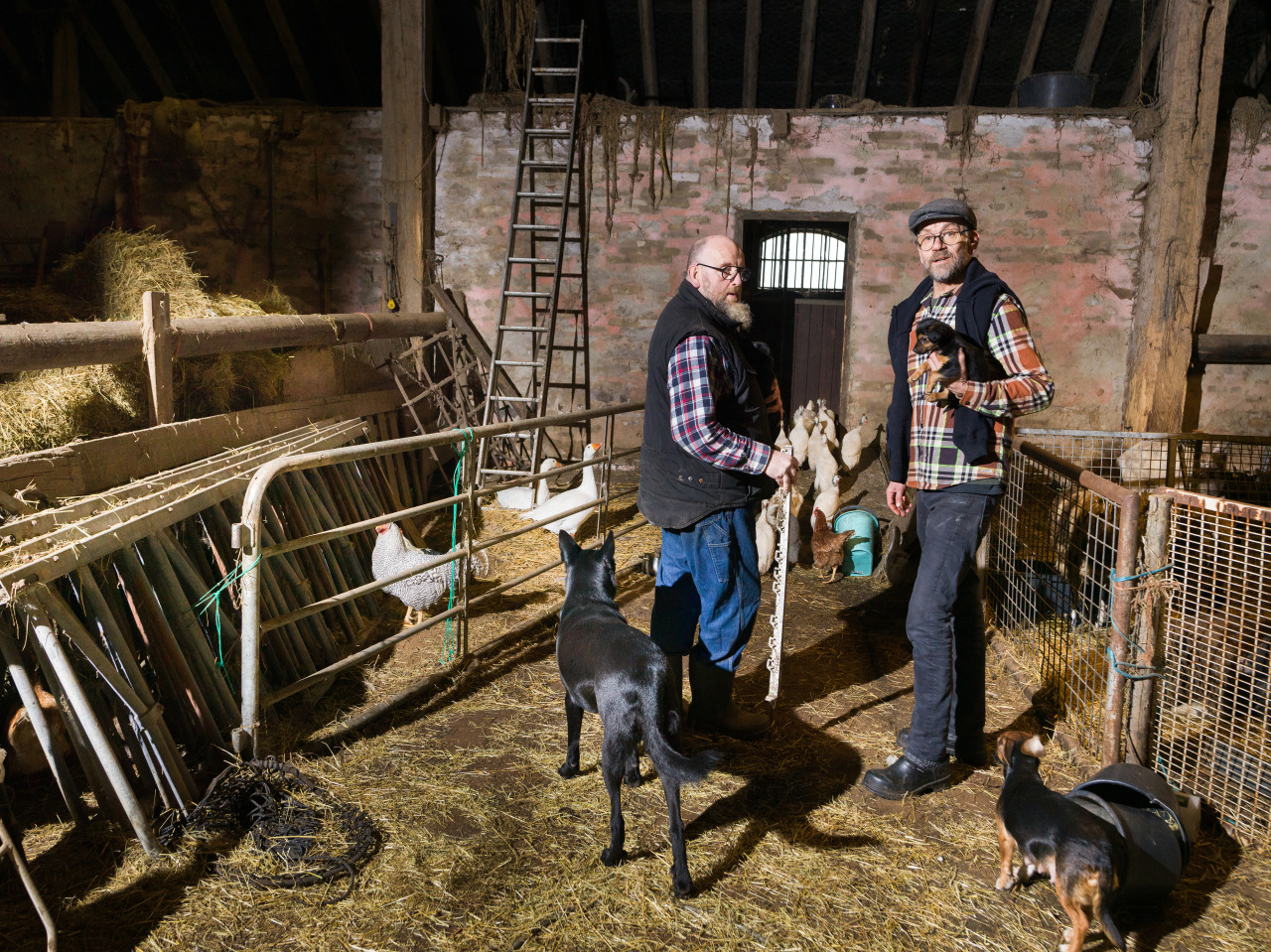 Siemon de Jong geniet samen met Tjakko van het boerenleven in Groningen. De jonge pups gaan het huis alweer uit, maar met ruim honderd andere dieren blijft er genoeg te doen. Ondertussen draait er weer een nieuw seizoen van Taarten van Abel.