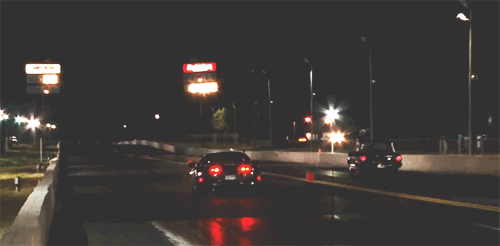 cargifs:  Texas bred. 