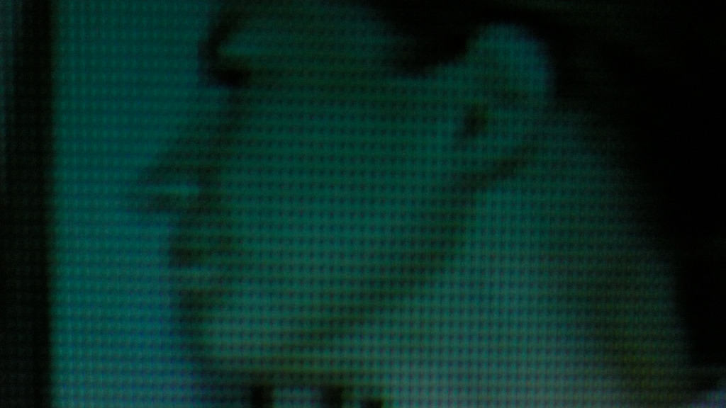 mfkopp:  A Face | Sylvacaine | France