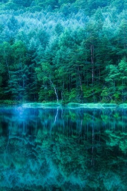 0ce4n-g0d:  Deep green reflection | Hidetoshi Kikuchi 