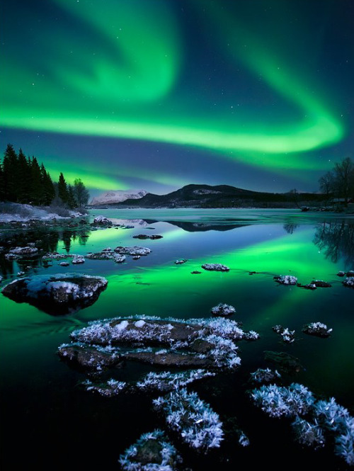 djferreira224:“A Night To Remember” ~  Photo: Arild Heitmann