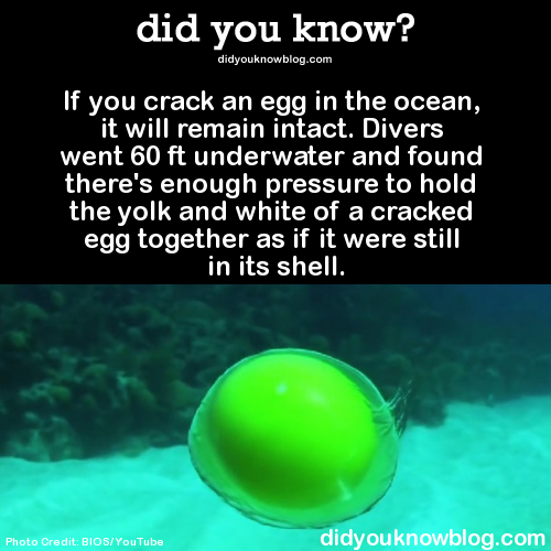 did-you-kno:  Watch the video and see more pictures here ►►►►►► If you