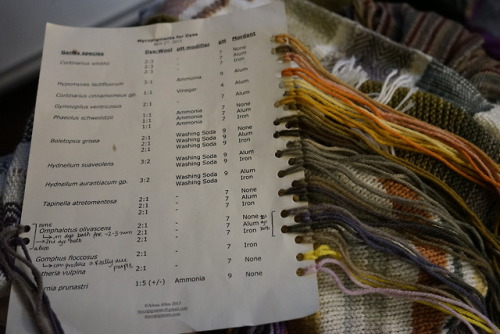bio-child:Dyeing with Mushrooms