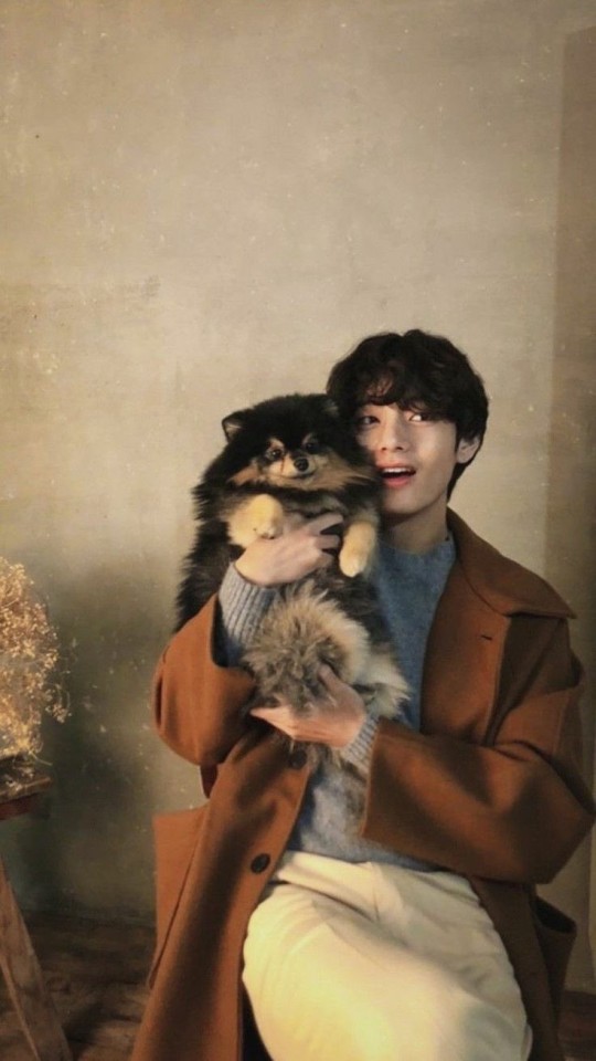 army-in-luv - ARMY In Luv