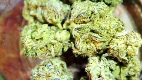nsfwkryspie:  The rest of “Random Purp” 