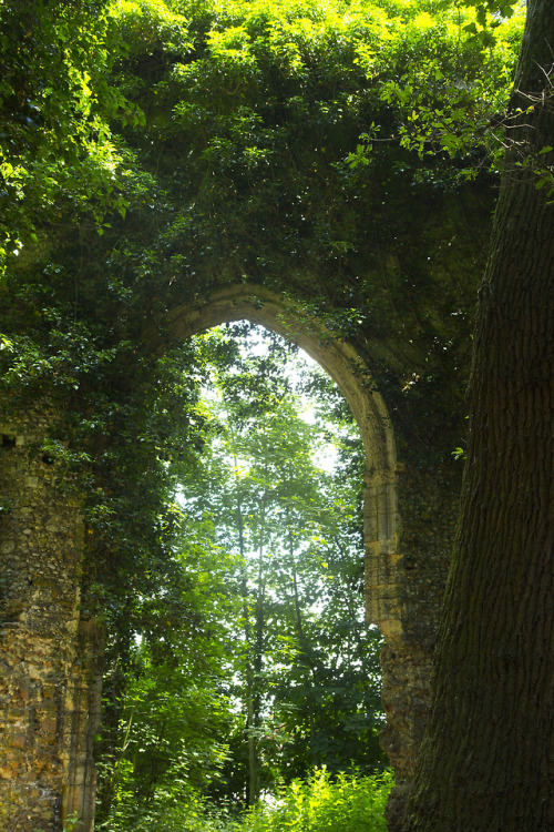 90377: St Mary, East Somerton by chiron3636