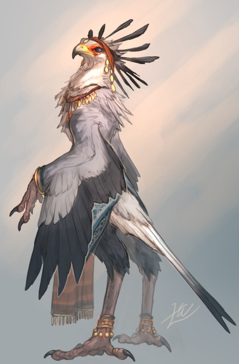  Secretary bird