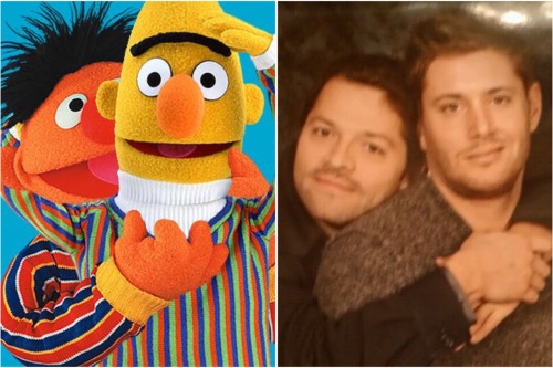 destielette:  “There are two things I know for certain: one, Bert and Ernie are gay” . . . . Credits : photo op 1 Photo op 2 photo op 3 Gifs : @mishasminions