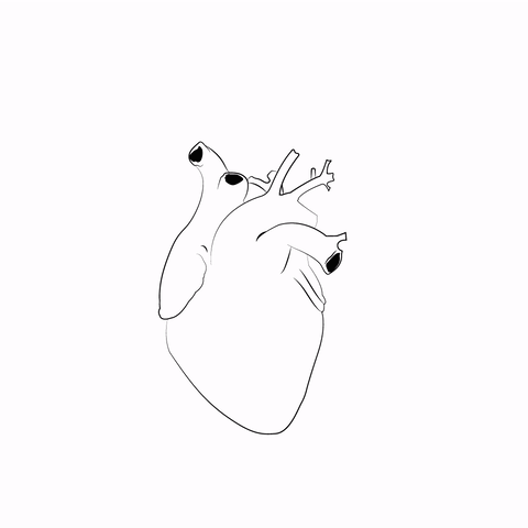 xxrawxx:  Goodbye