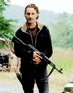 The Walking Dead Guide