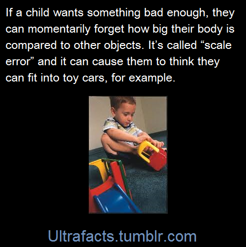 ultrafacts:(Fact Source) Follow Ultrafacts for more factsIn developmental psychology, a scale error 