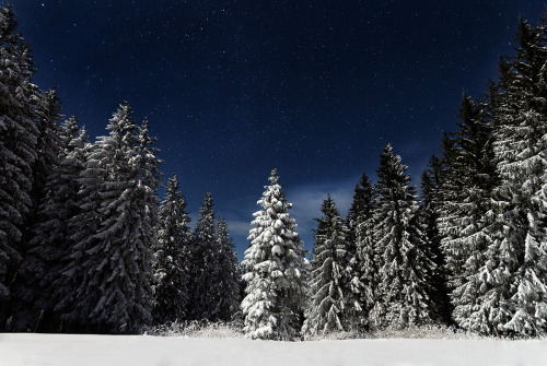 moon83:  Paul Itkin Tumblr // Unsplash 