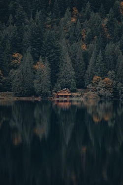 alecsgrg:Cabin life | ( by Garrett King ) 