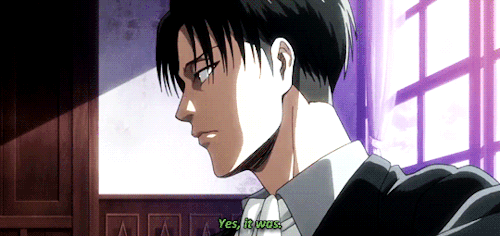 Levi Broke Erwin’s Legs  And They Lived Happily Ever After. (ﾉ◕ヮ◕)ﾉ*:･ﾟ♥