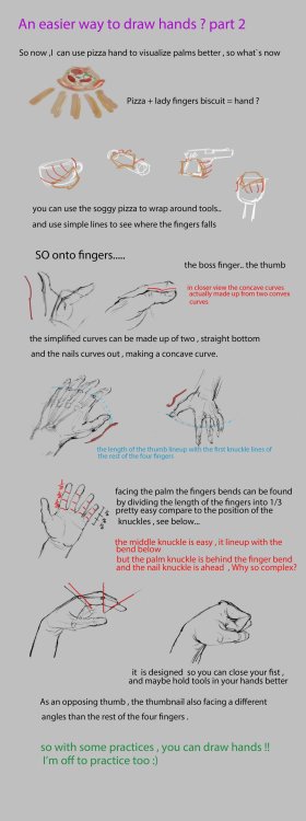 anatomicalart:  by nosoart 