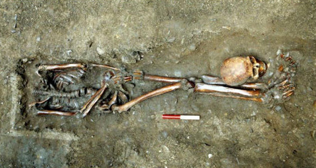 Animal-bitten, Wounded, and Decapitated—Who were these Roman-era Men Buried near