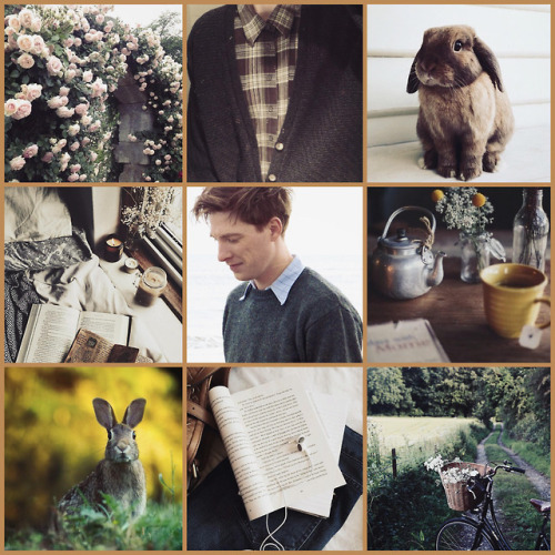 rabbitsareswell: Thomas McGregor | Peter Rabbit | Aesthetic