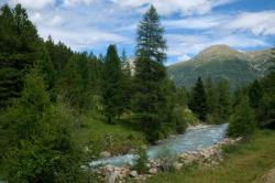 90377:  Into the Engadin by Scott Clark   