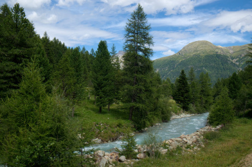 Into the Engadin by Scott Clark