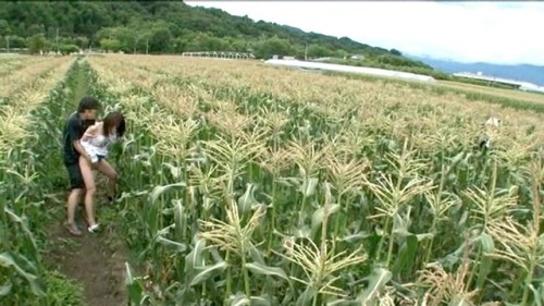 qiuchuchu:  NHDTA-295 狭い場所の圧迫感と息もできない連続絶頂が女を狂わせる！ 2 ～公園の遊具、住宅街の隙間、ボーリング場の死角、田舎の畑道～