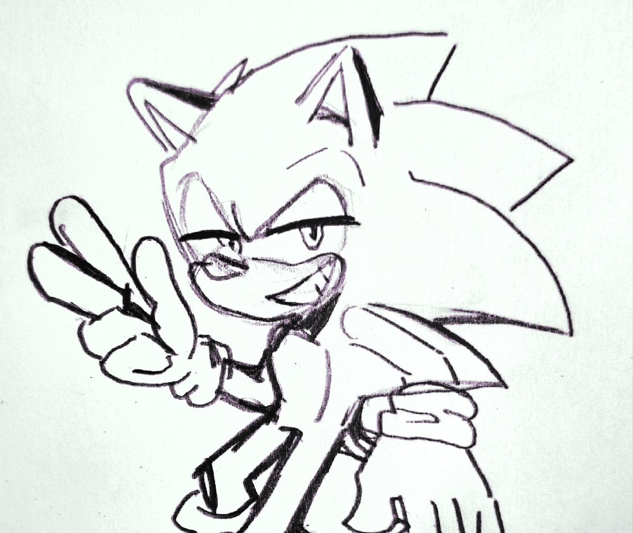 Hedgehog Brain Fog On Tumblr hedgehog-brain-fog-on-tumblr