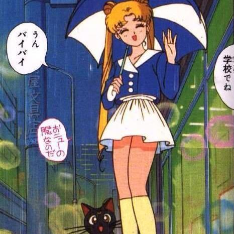 noclassera:sailor moon