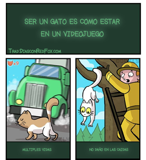 diasconredfox: Ser un gato es como un videojuego original 