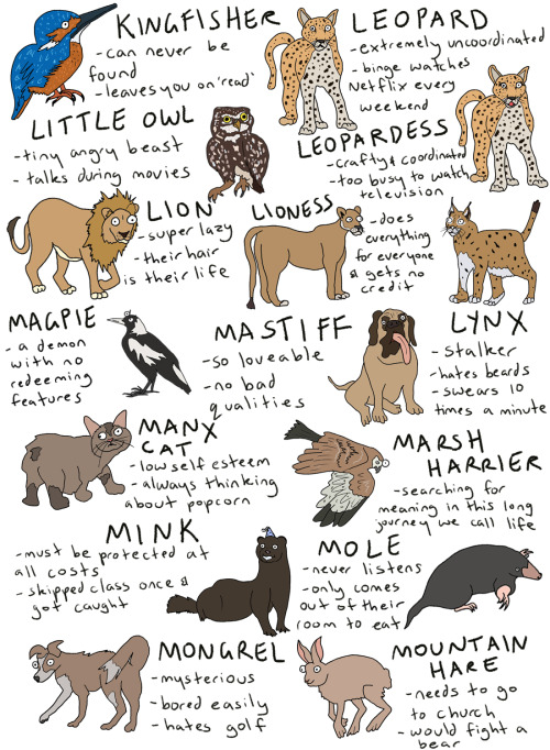 fleamontpotter: click to make bigger!!!  THIS IS SO LONG i’ve literally included every an