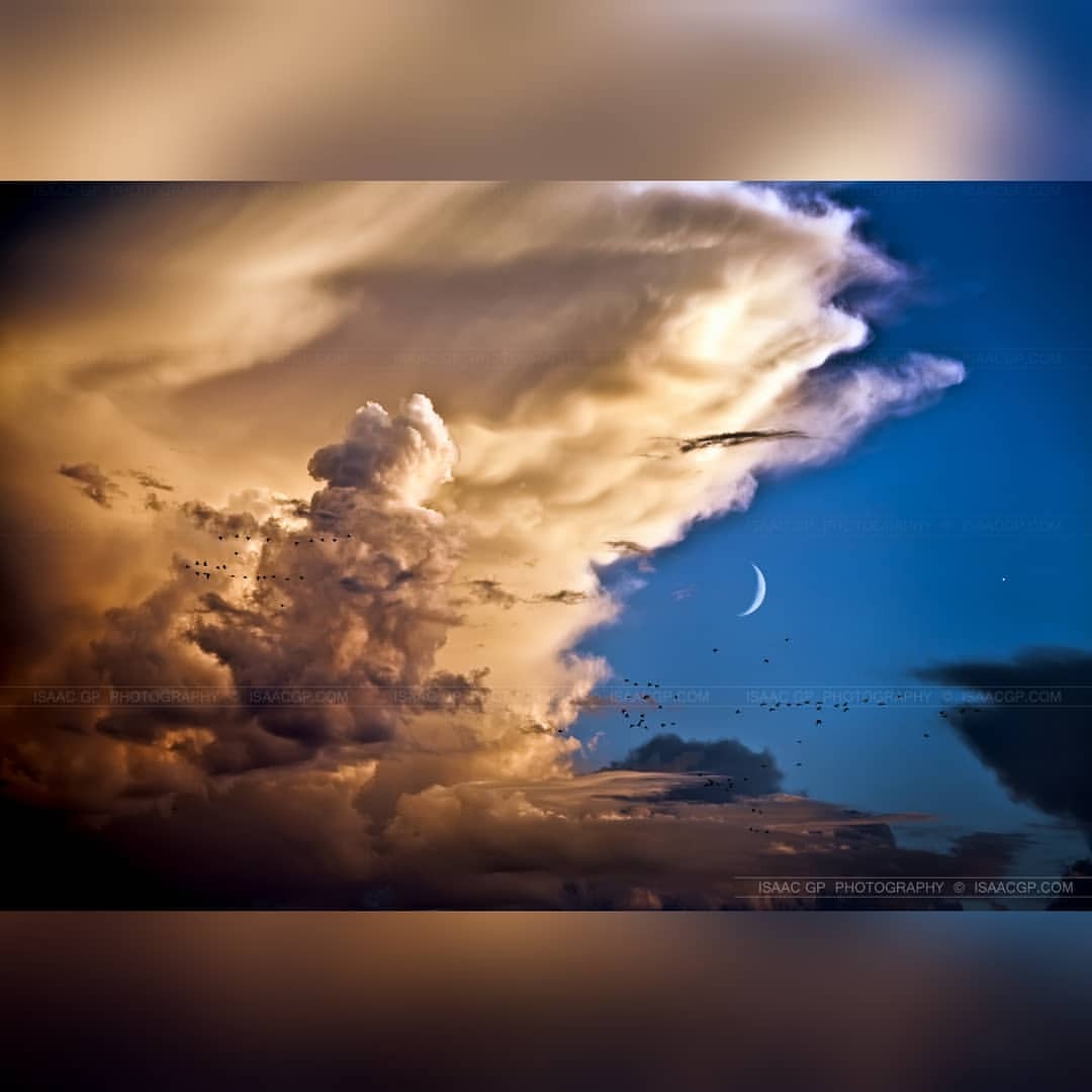 Clouds, Birds, Moon, Venus #nasa #apod #moon #crescentmoon #venus #planet #clouds