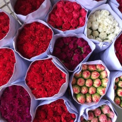freckledrose:💐 trips to the flower market