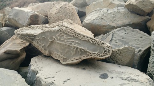 dalisrhinoceros:Beautiful rocks at a beach in Santa Barbara. Does anyone from geology tumblr know wh
