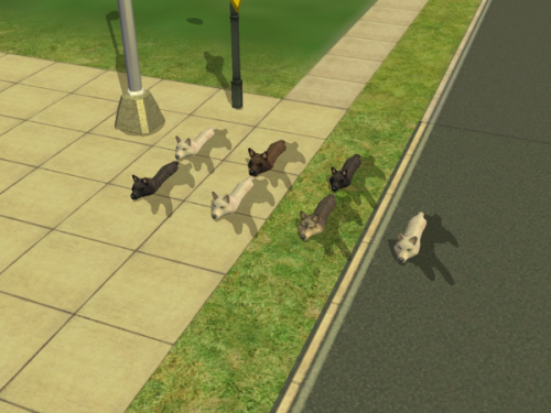 Some of these are even the same dog… maybe it’s time to move.  (I swear if it keeps giv
