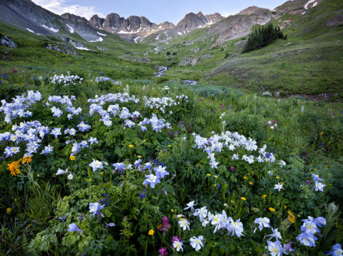 americasgreatoutdoors: Southwest Colorado’s Alpine Loop National Backcountry Byway provides ac
