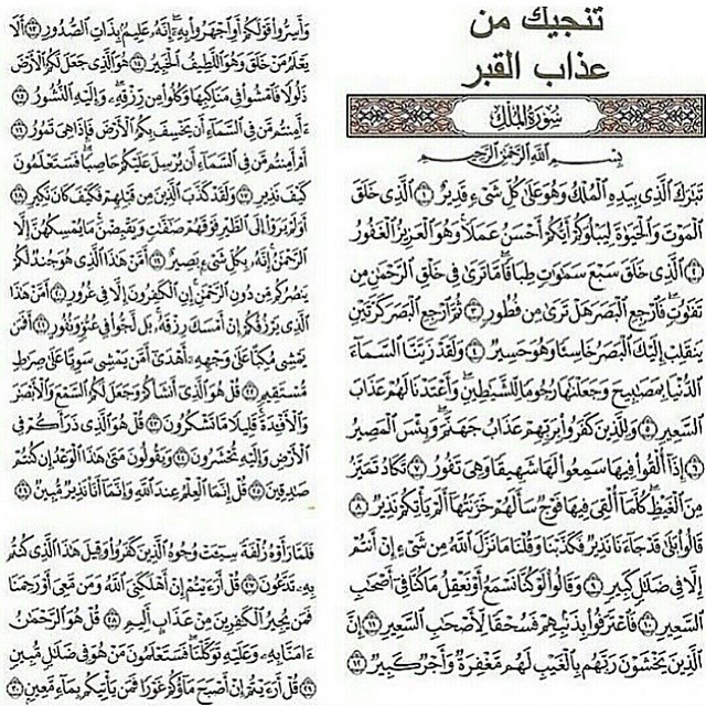 . . . عَنْ أَبِي هُرَيْرَةَ عَنْ النَّبِيِّ صَلَّى