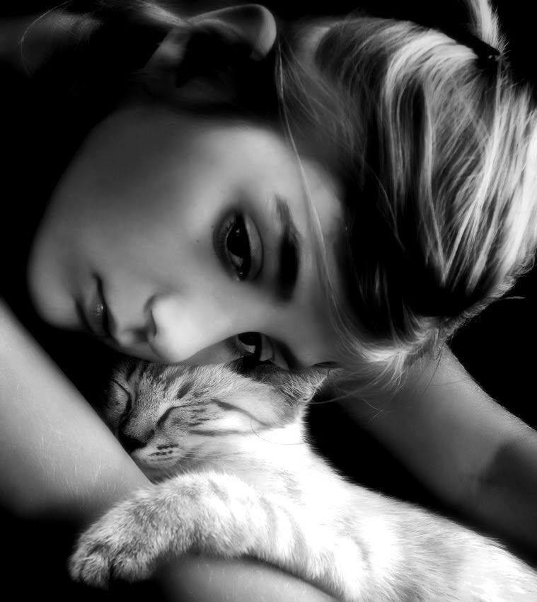 Pensive kittens
