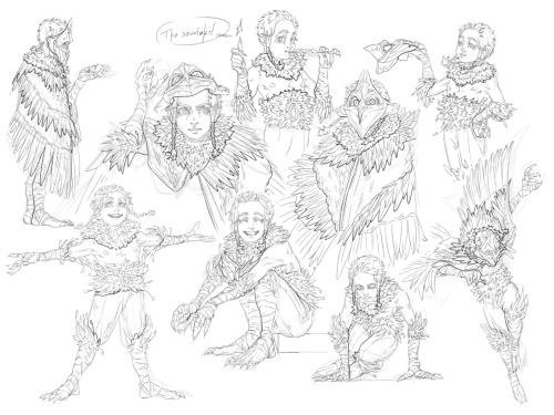 a batch of sketches
