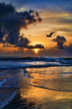 expression-venusia:  Caribbean Sunrise Expression Photography