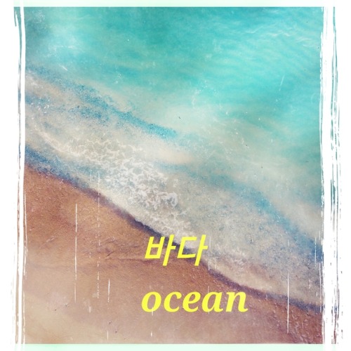 hd-learns-korean: Vocabulary related to the sea: 바다 sea/ ocean 바다사자 - sea lion바다 거북 sea tu