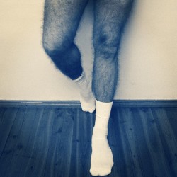 aangrybirdss:Good evening. :-P  #gaypoland #gay #gayfetish #gaysocks #whitesocks #instagay #instahomo #instafetish #gayhot #hotgay #gaysockfetish #instasocks #gayfootfetish #gayhairy #hairylegs #hairy #gaylegs #instalegs #socksandbeards #hairyguy #follow