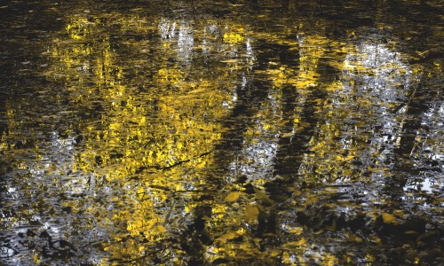 texturas de otoño