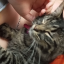 kittycat-littlegirl