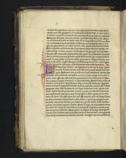 ”Medicina cordis”, Ms. Codex 311, f. 20v, Italy ca. 15th century via University of Pennsylvania Libr