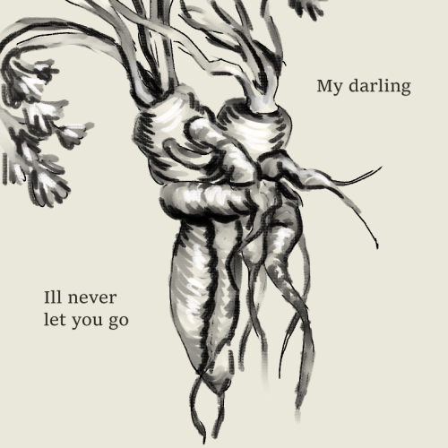 Once Again Thinking About My Darling I'll Never Let You Go.jpeg