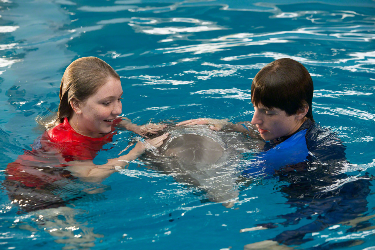 Дельфин 2 группа. Дельфин Барни. История дельфина 3.