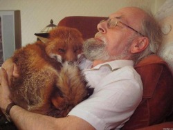 ydrill:  Mike Trowler and the fox he saved